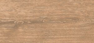 20x12020dendro20ceviz 1