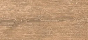 20x12020dendro20ceviz