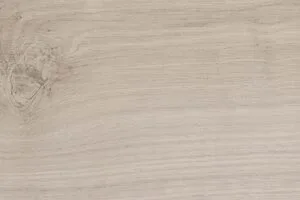 15x60 MEZON FİLDİŞİ