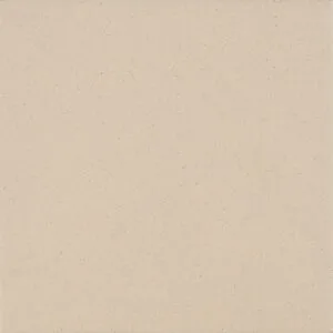 20x20 ANTİASİT BONE