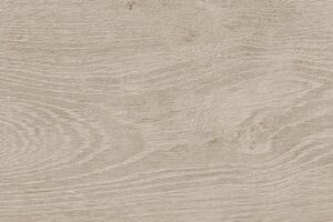 15x60 DENDRO AKÇAAĞAÇ