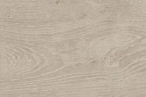 15x60 DENDRO AKÇAAĞAÇ